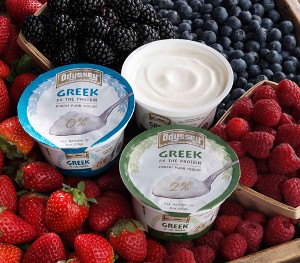 MADE-IN-WISCONSIN GREEK-STYLE YOGURT MADE-IN-WISCONSIN GREEK-STYLE YOGURT