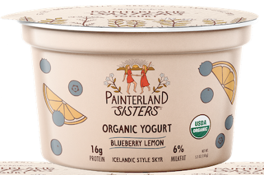 Painterland Sisters Skyr Icelandic-style Yogurt